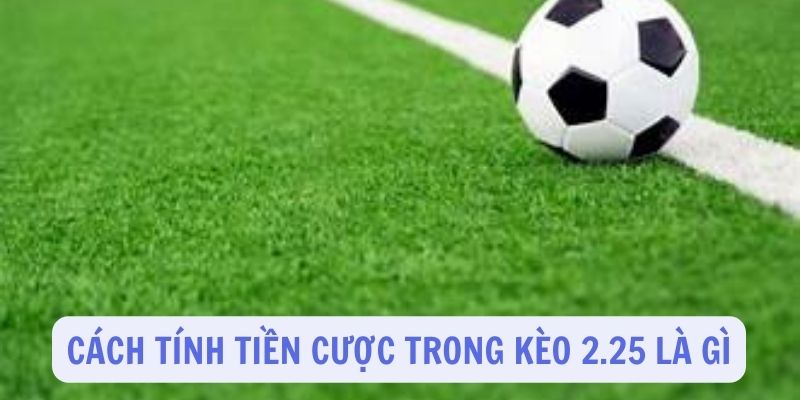 Cách thức tính toán tiền thắng cược từ kèo 2.25 là gì?