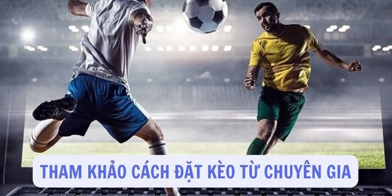 Tham khảo cách thức đặt kèo từ các chuyên gia